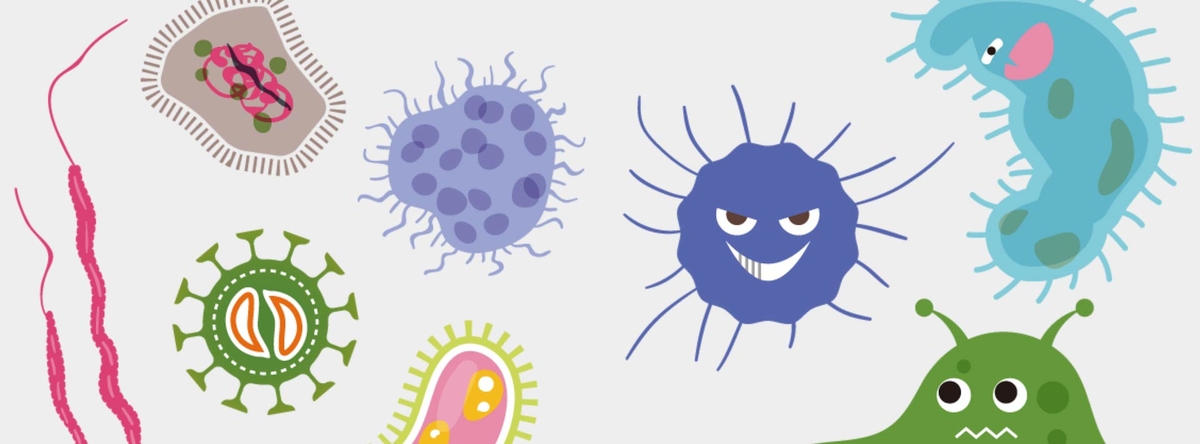 Ковер и бактерии: избавляемся от микроорганизмов раз и навсегда!